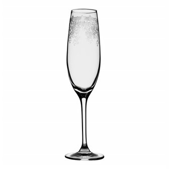 Set van 6 champagne flute van geslepen glas